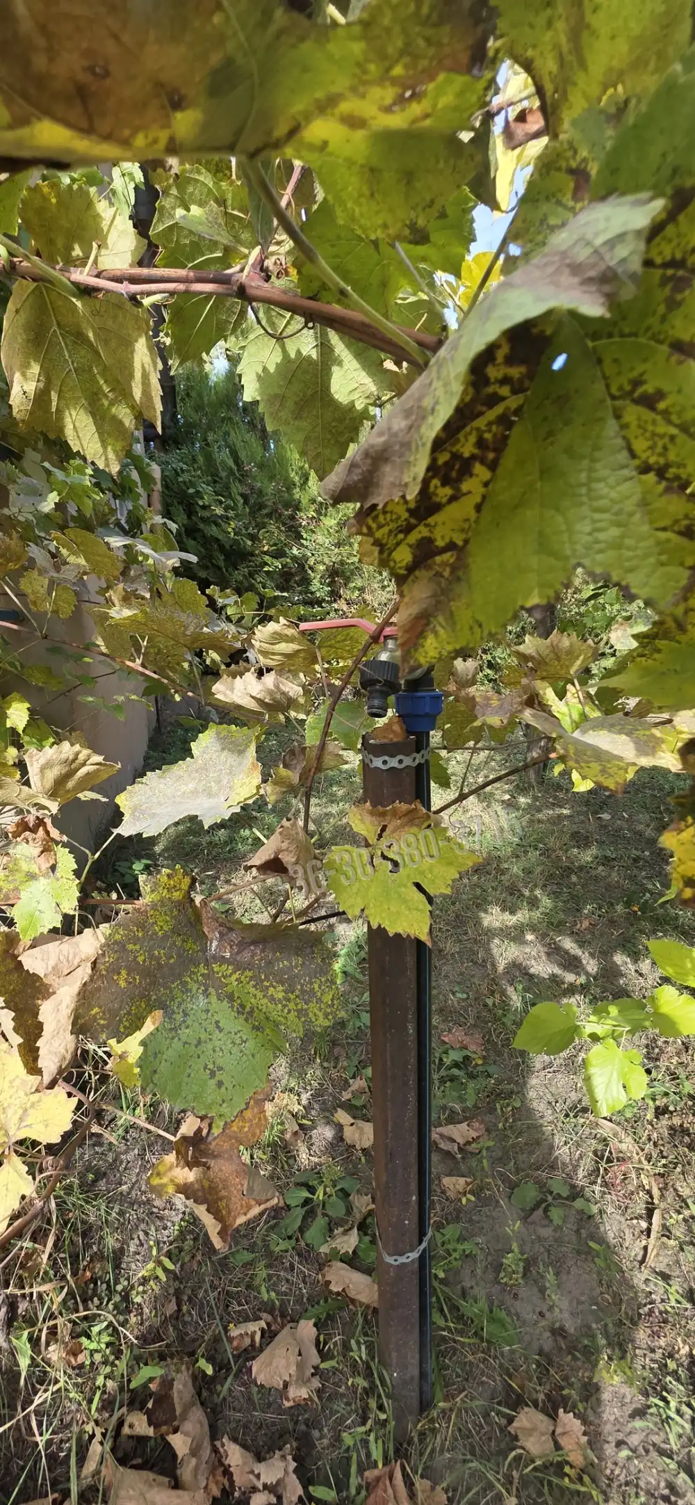 Fejér megye - Baracs