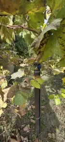 Fejér megye - Baracs