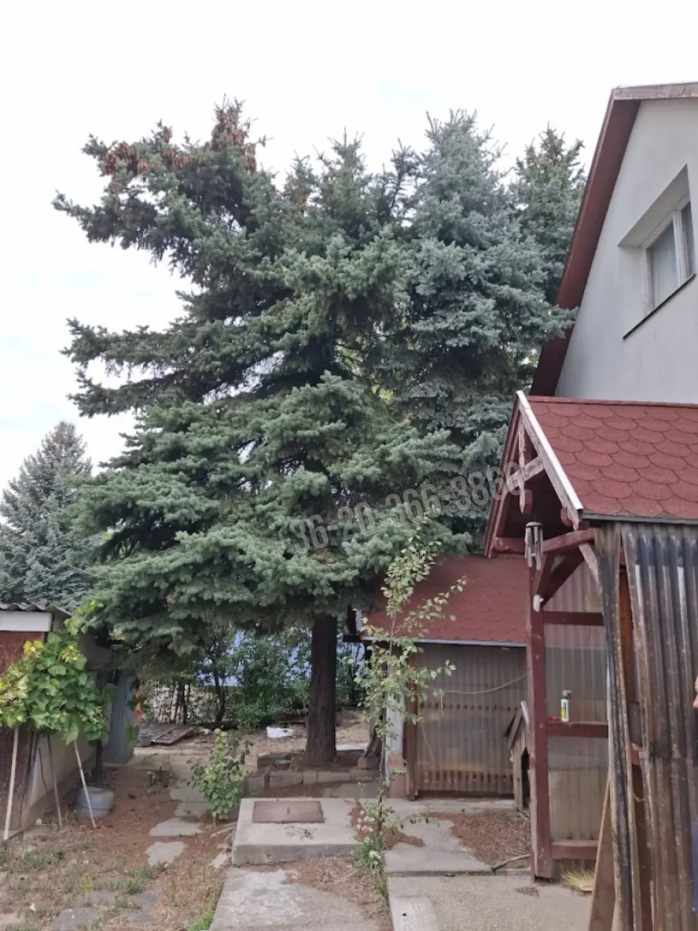 Pest megye - Biatorbágy