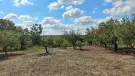 Fejér megye - Bicske