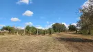 Fejér megye - Bicske