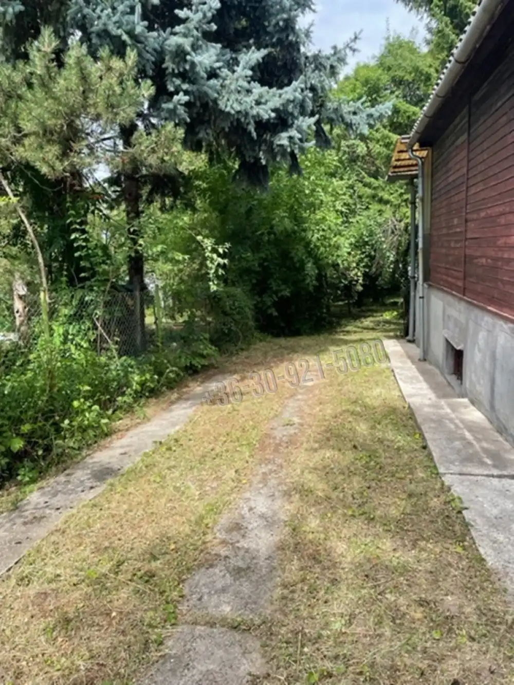Pest megye - Dány