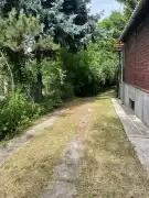 Pest megye - Dány