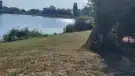 Pest megye - Dány