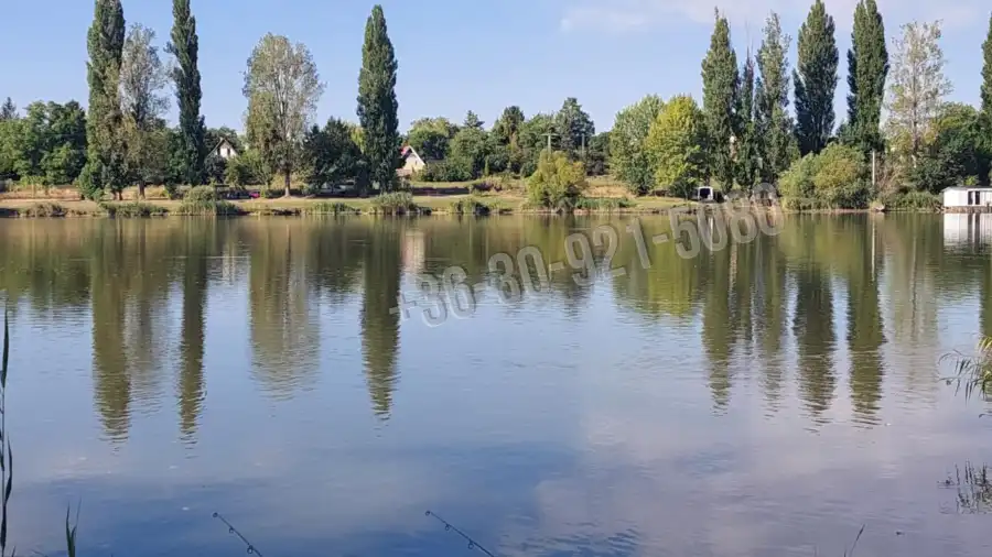 eladó nyaraló, Dány