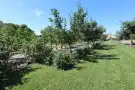 Csongrád megye - Domaszék