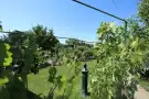 Csongrád megye - Domaszék