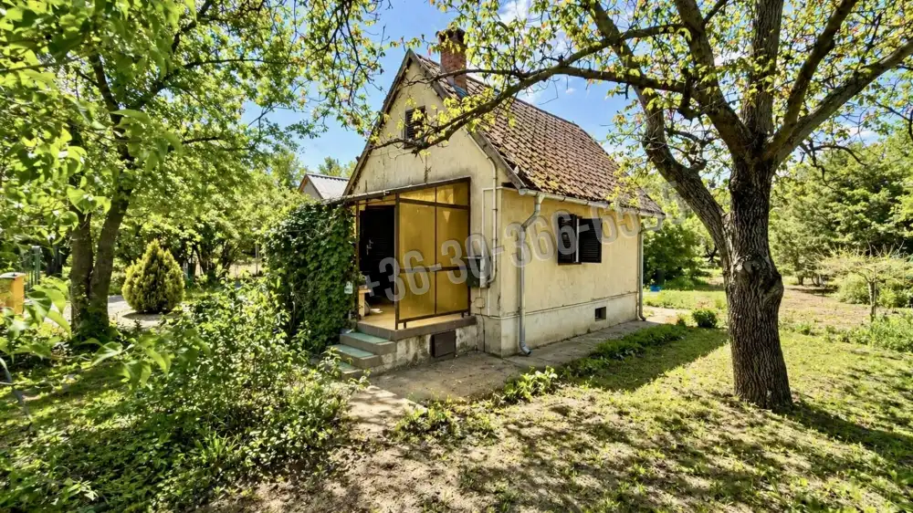 Pest megye - Dunaharaszti