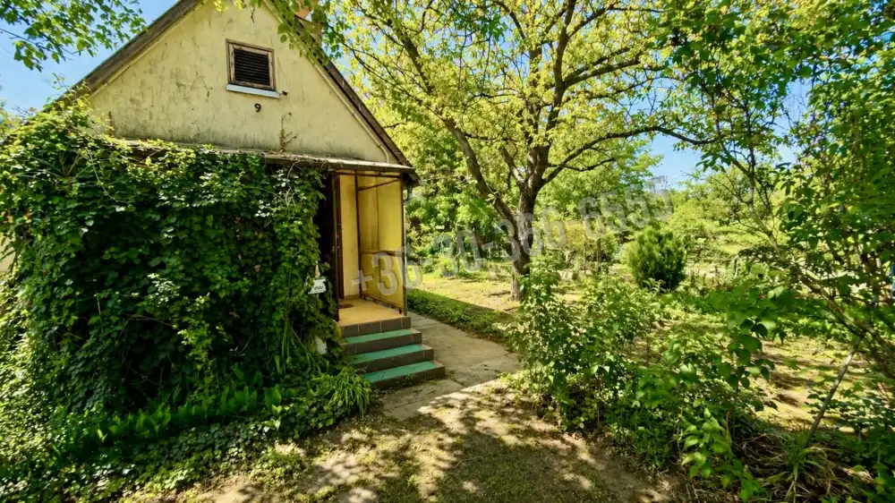 Pest megye - Dunaharaszti