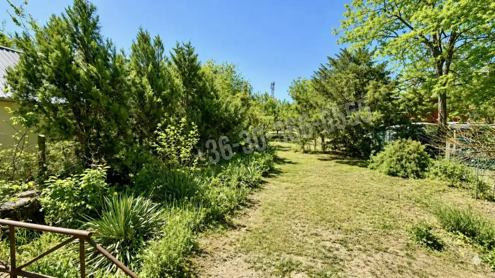 Pest megye - Dunaharaszti