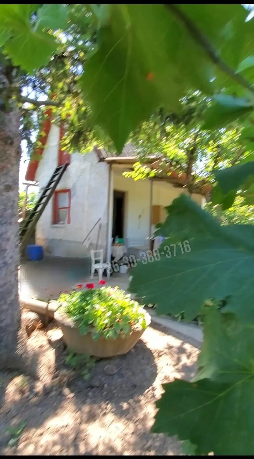 Fejér megye - Dunaújváros