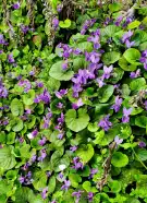 Fejér megye - Dunaújváros