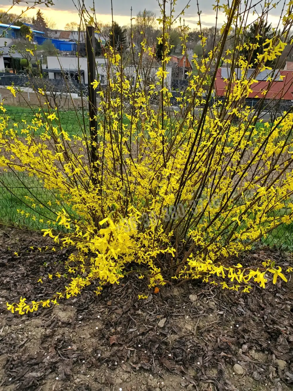 Fejér megye - Dunaújváros