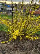 Fejér megye - Dunaújváros