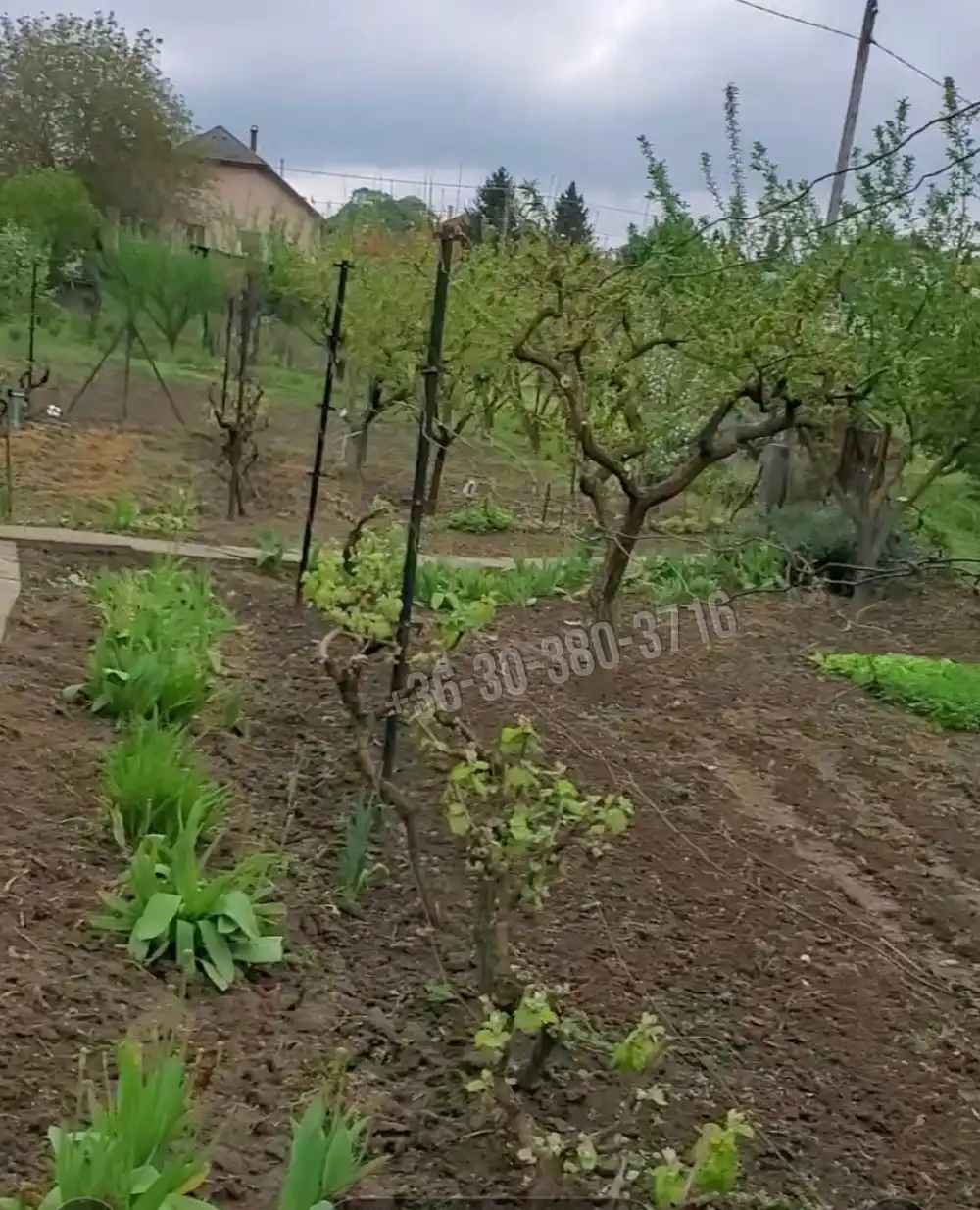 Fejér megye - Dunaújváros