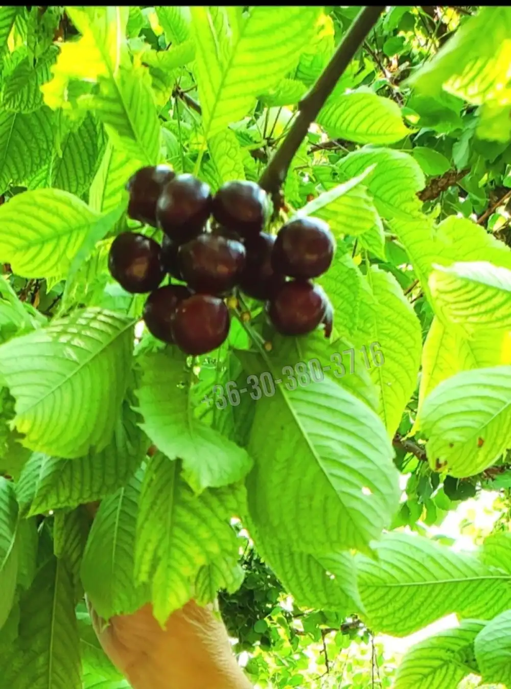 Fejér megye - Dunaújváros