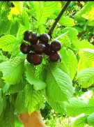 Fejér megye - Dunaújváros