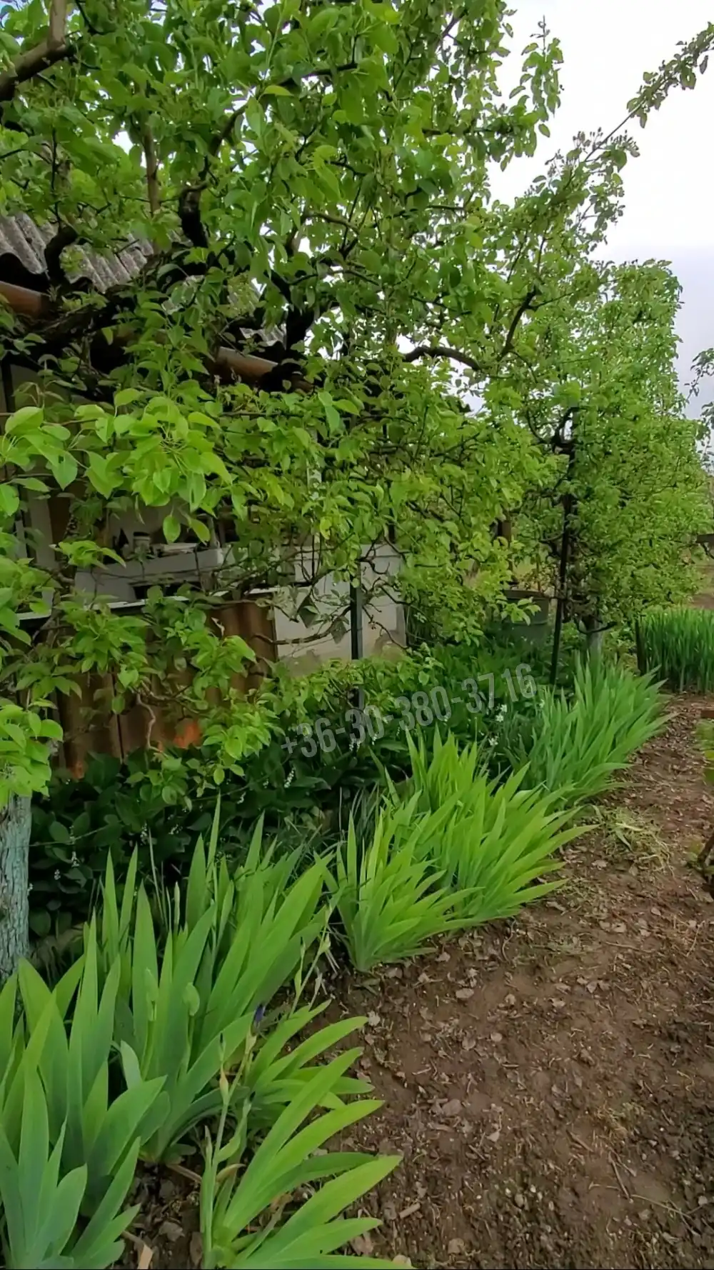 Fejér megye - Dunaújváros