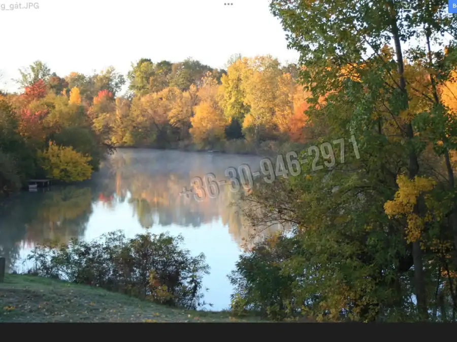 eladó nyaraló, Gyomaendrőd