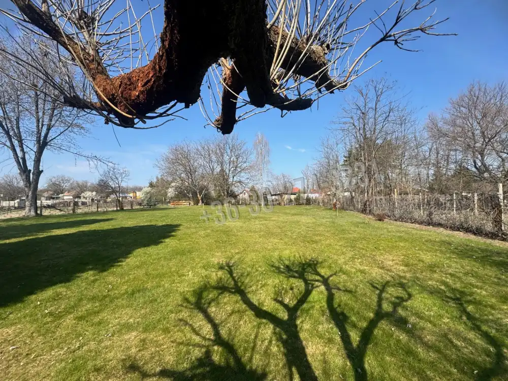 Bács-Kiskun megye - Kiskunfélegyháza