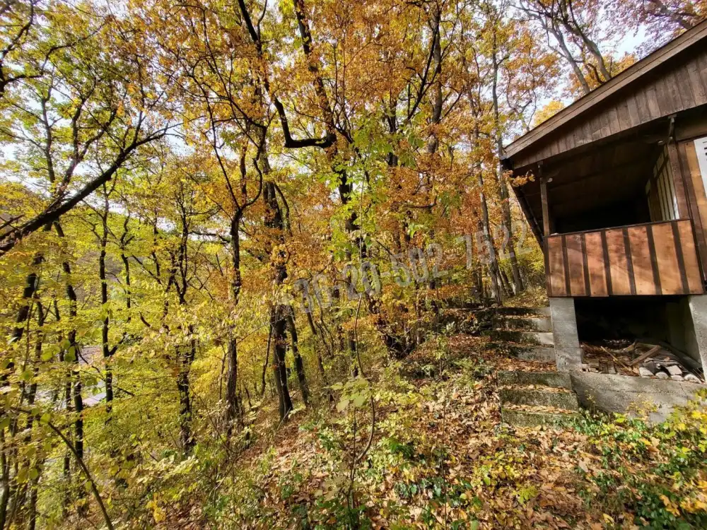 Pest megye - Kismaros