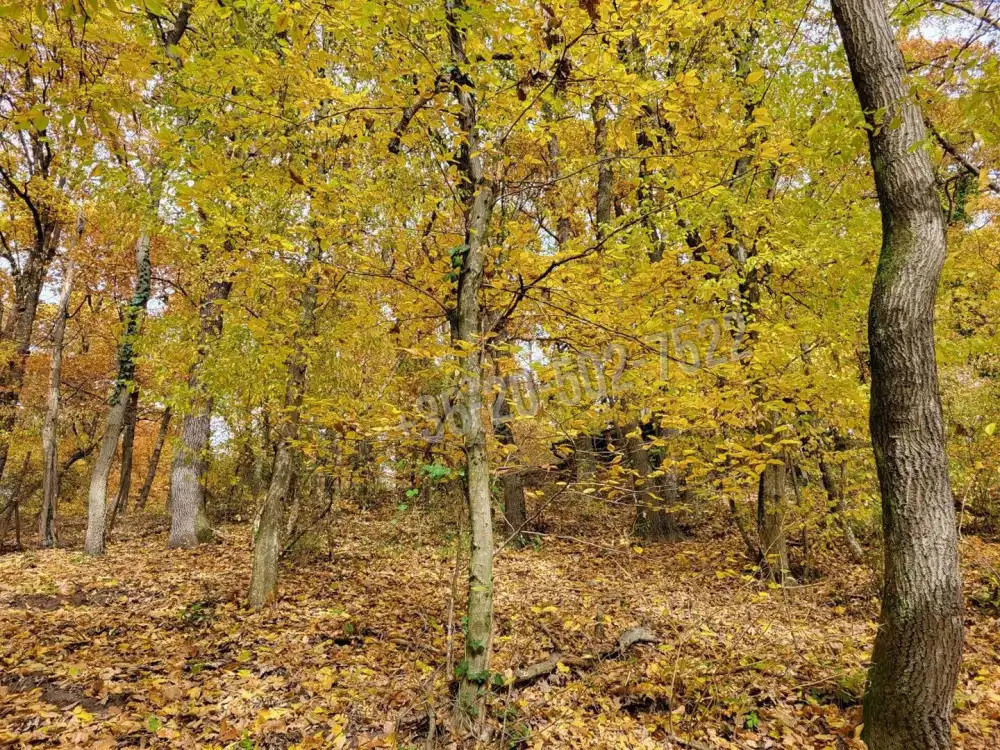 Pest megye - Kismaros