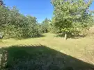 Komárom-Esztergom megye - Környe