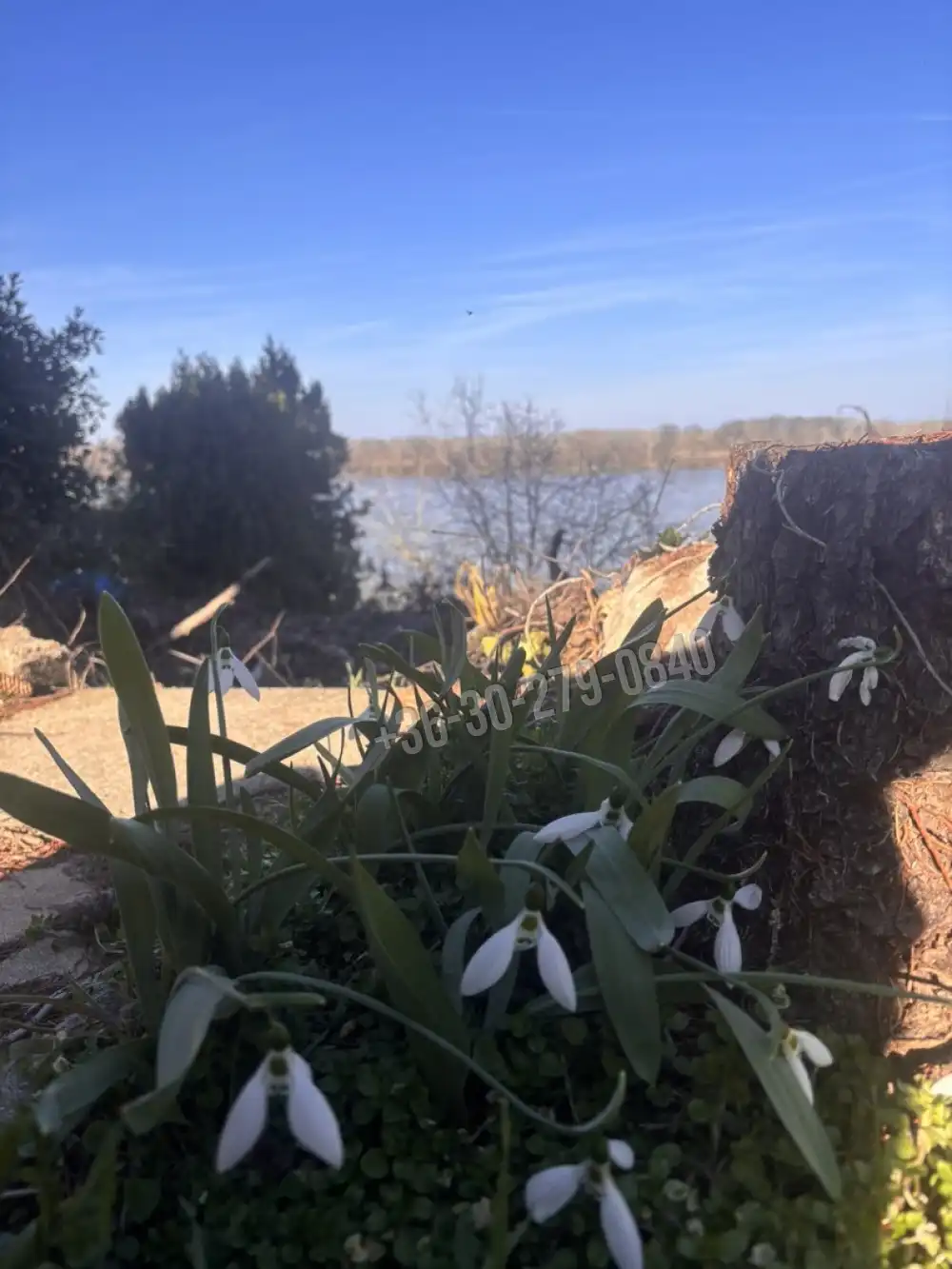 Fejér megye - Kulcs