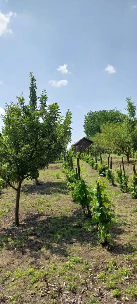 Eladó nyaraló, Kulcs 1 szoba 10 m² 8.9 M Ft