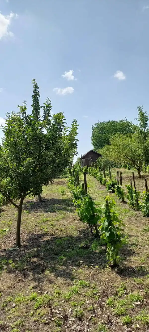 Eladó nyaraló, Kulcs 1 szoba 10 m² 8.9 M Ft