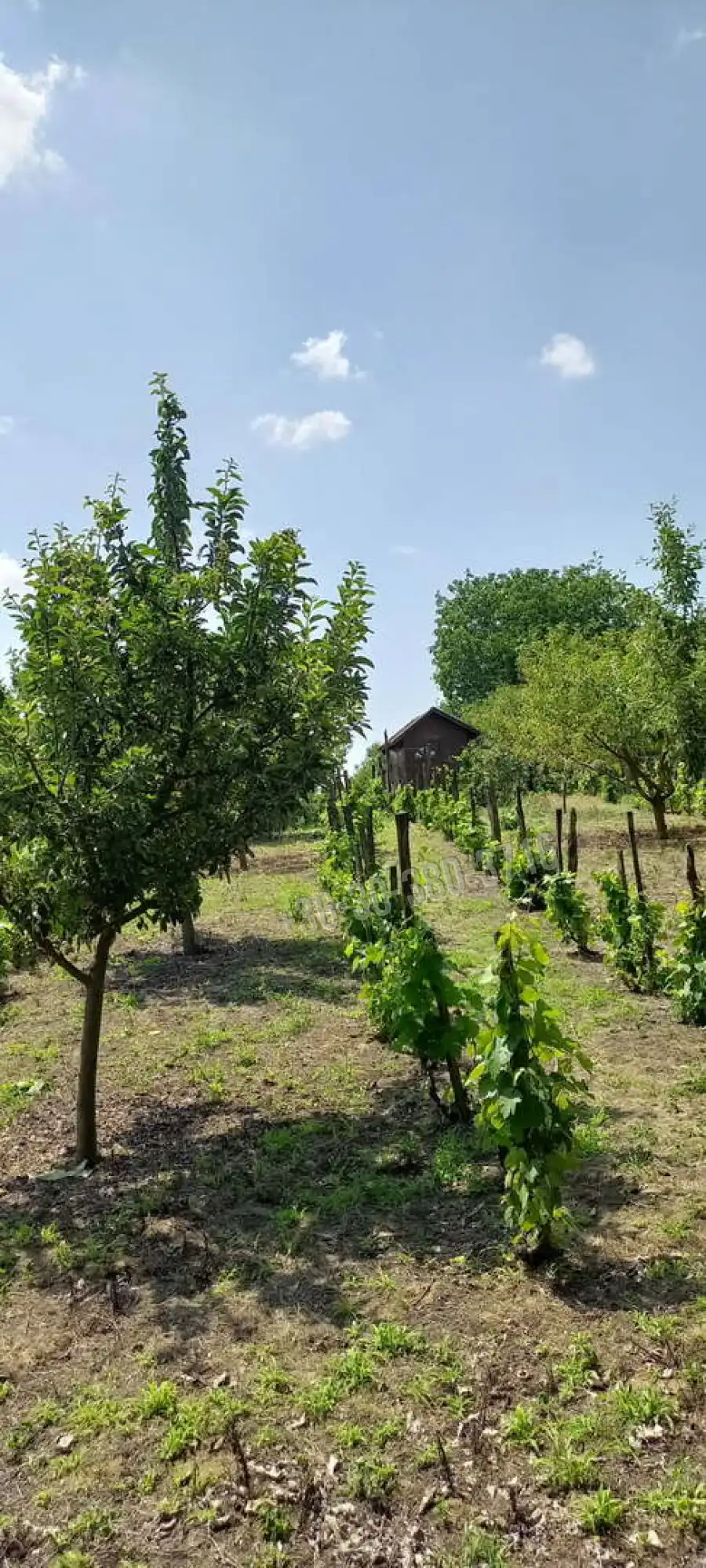 eladó nyaraló, Kulcs