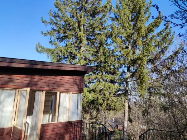 Eladó nyaraló, Leányfalu 2 szoba 32 m² 25 M Ft