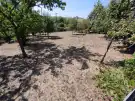 Baranya megye - Mohács