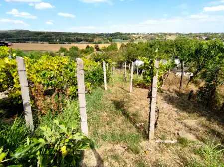 Eladó nyaraló, Mohács 1 szoba 40 m² 5 M Ft