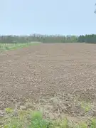 Zala megye - Molnári