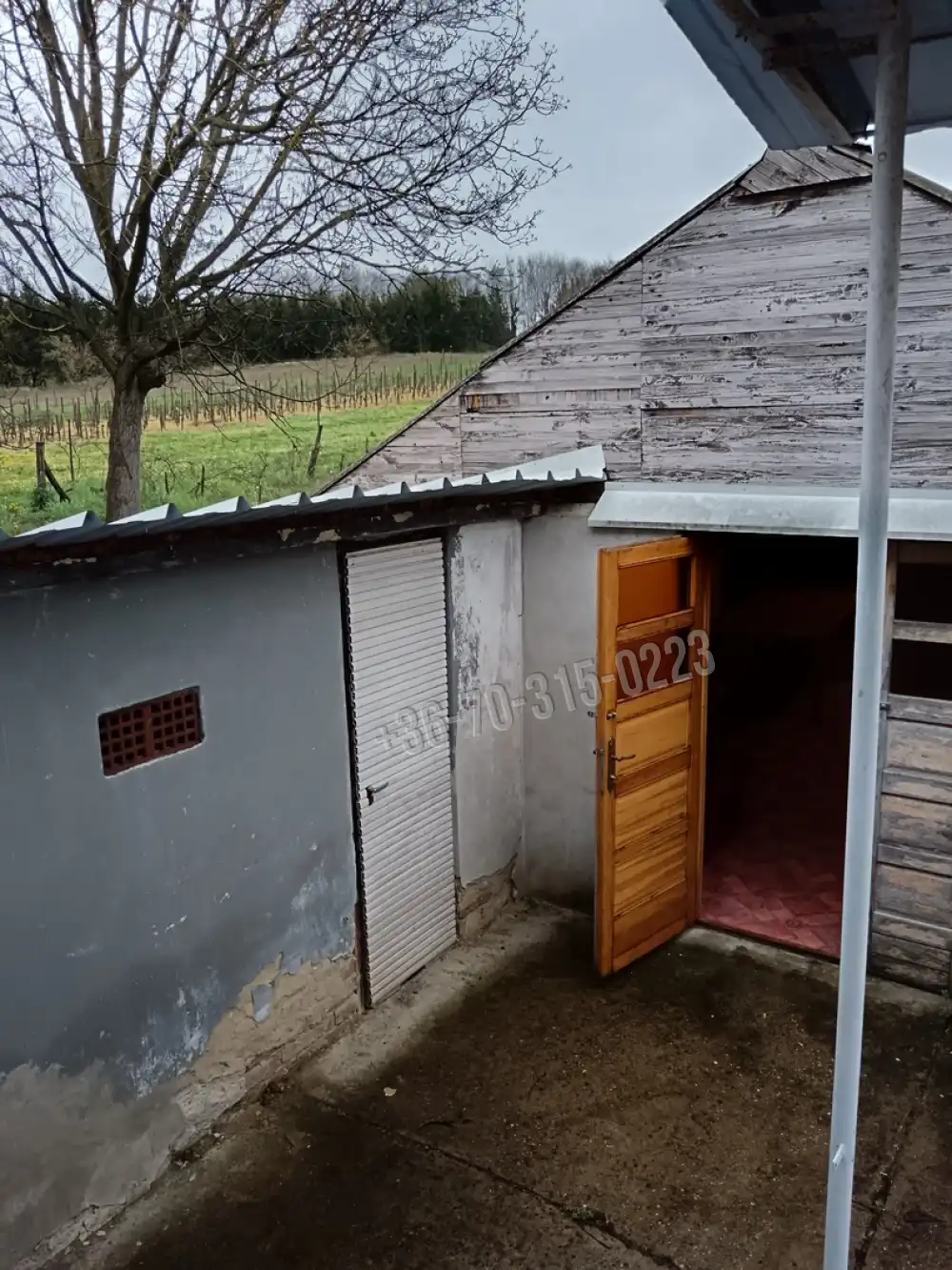 Zala megye - Molnári