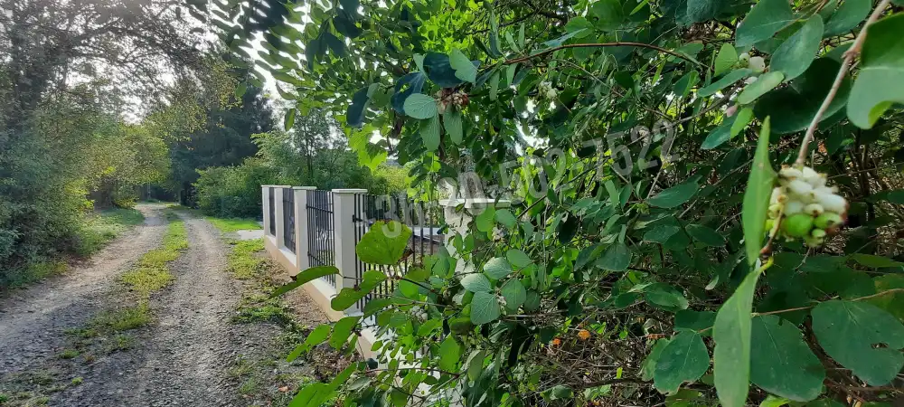 Pest megye - Nagymaros
