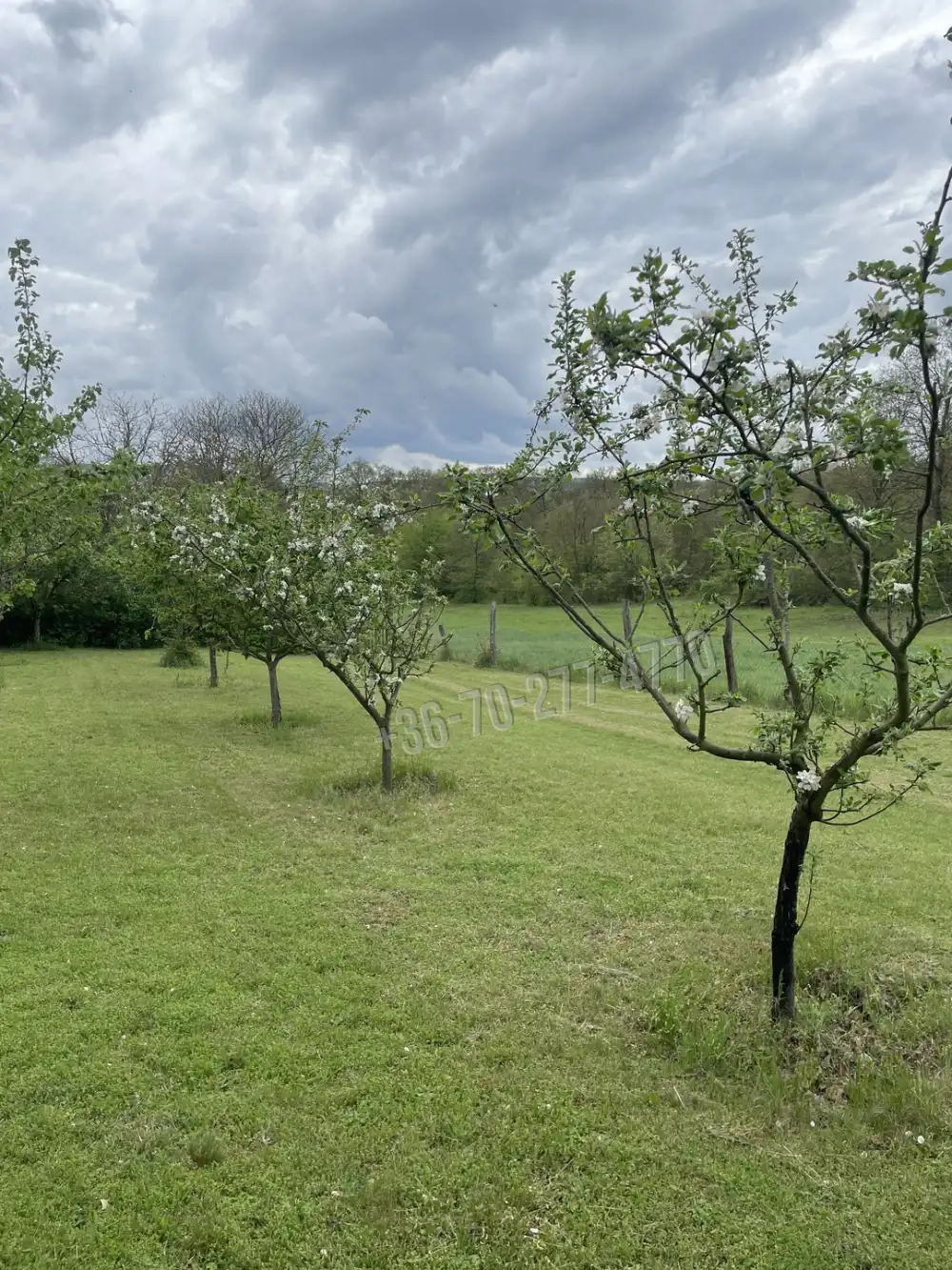 Komárom-Esztergom megye - Oroszlány