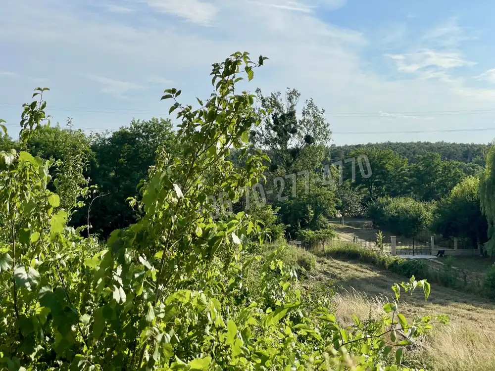 Komárom-Esztergom megye - Oroszlány