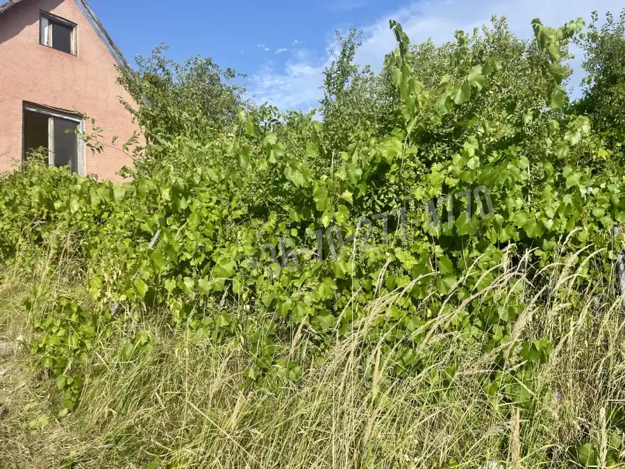 eladó nyaraló, Oroszlány