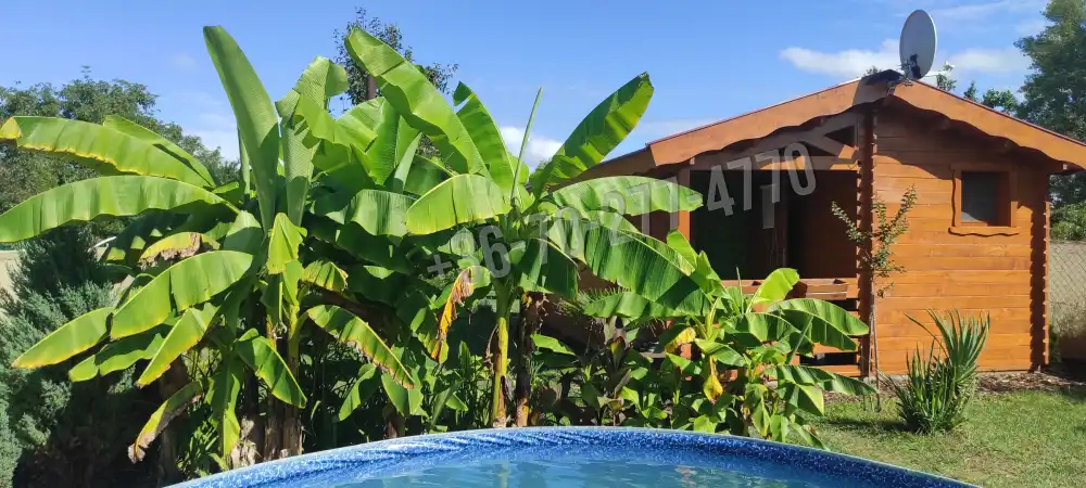 Komárom-Esztergom megye - Oroszlány