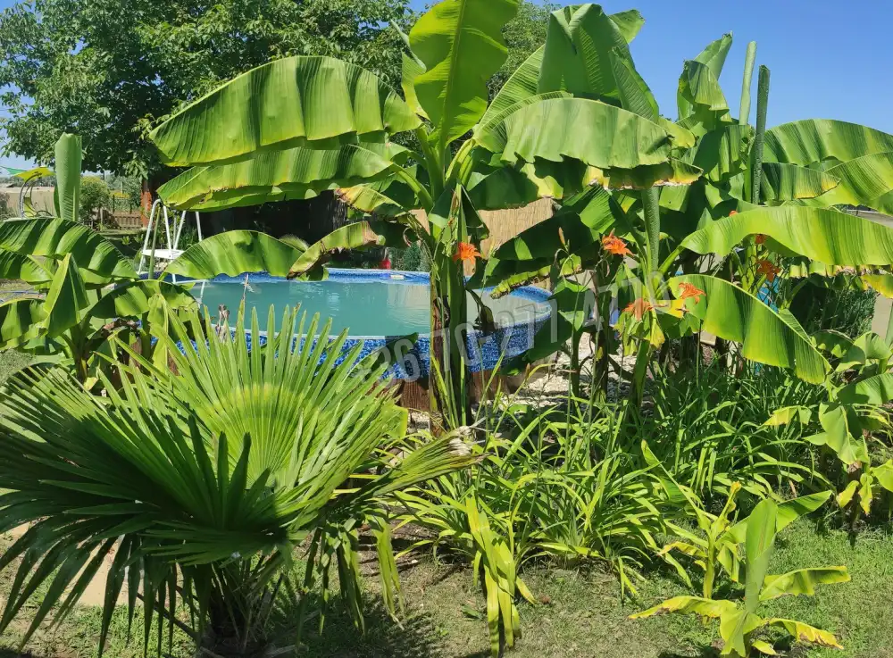 Komárom-Esztergom megye - Oroszlány