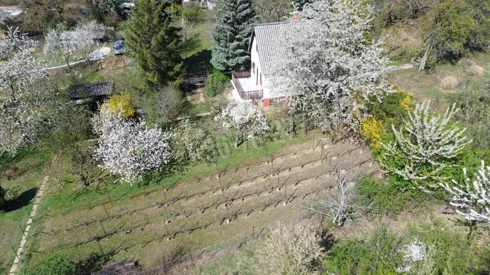 Komárom-Esztergom megye - Oroszlány