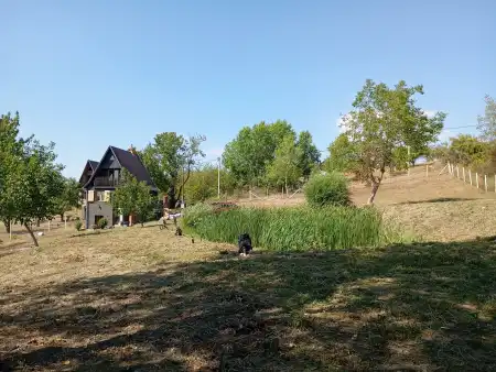 Eladó nyaraló, Pásztó 1 szoba 50 m² 39.9 M Ft