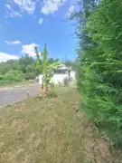Baranya megye - Pécs