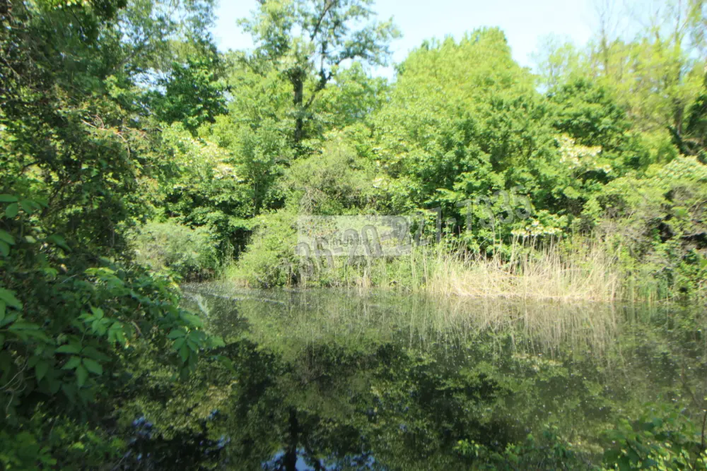 Pest megye - Ráckeve