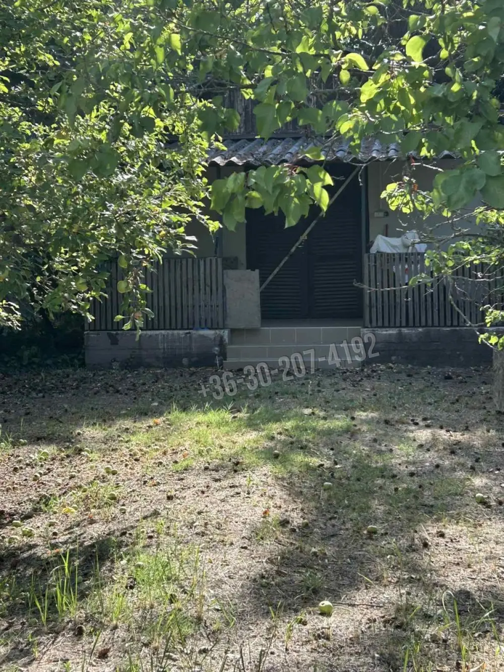 Csongrád megye - Sándorfalva