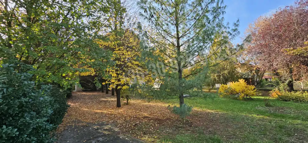 Békés megye - Szarvas