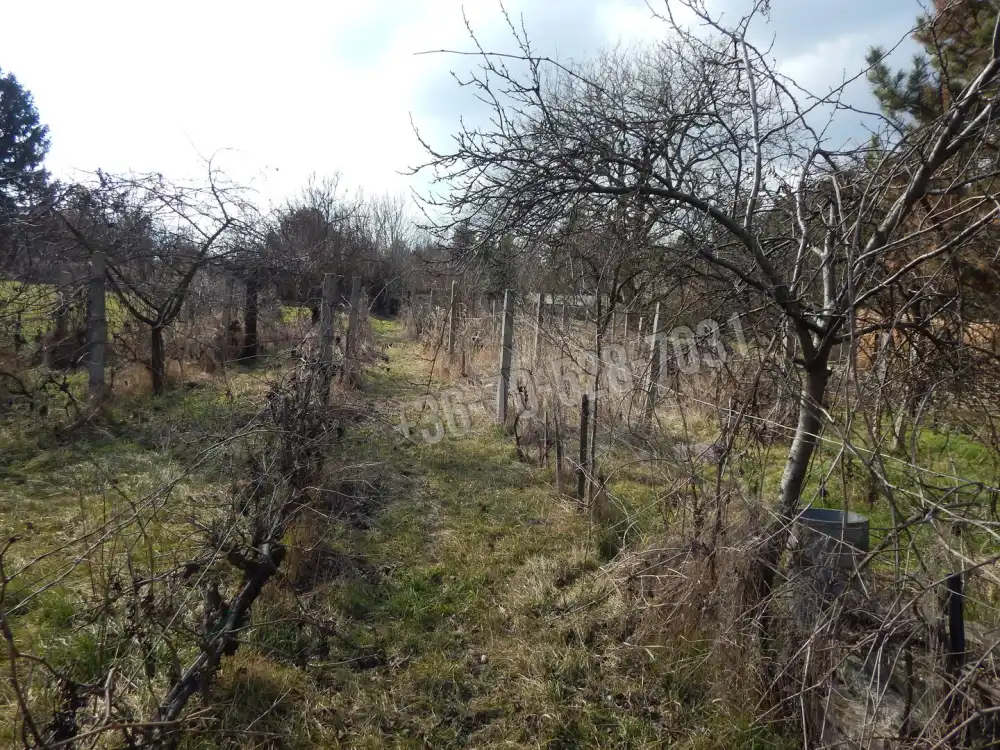 Komárom-Esztergom megye - Tata