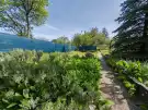 Komárom-Esztergom megye - Tatabánya
